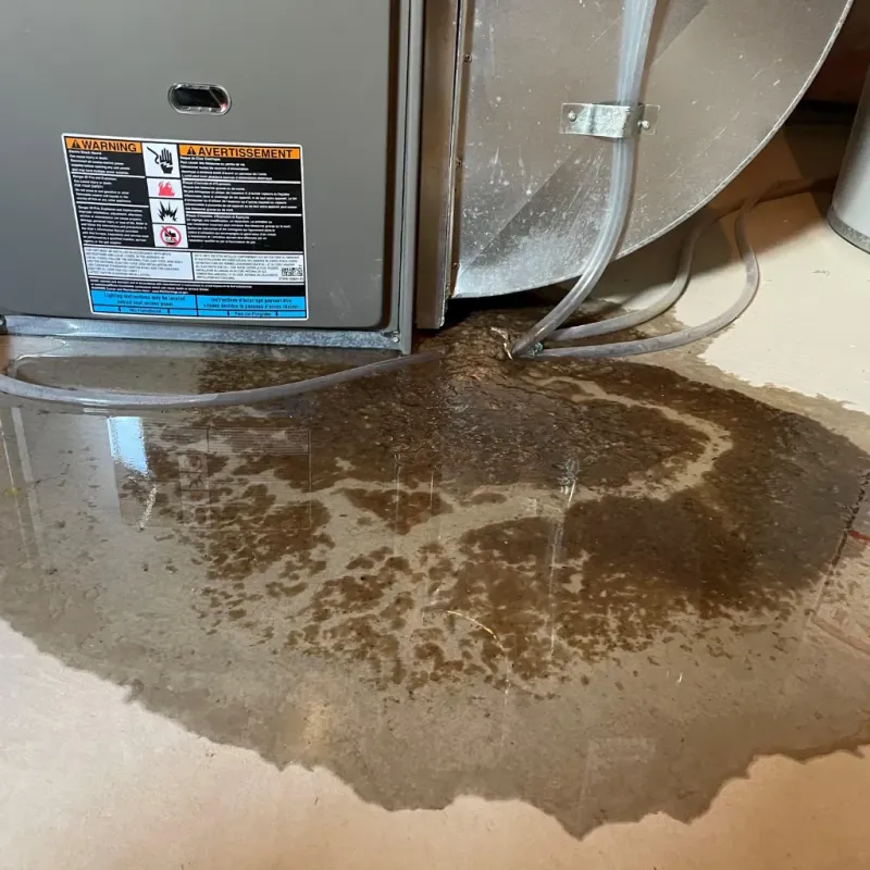 Appliance Leak Cleanup in Pickens County, AL